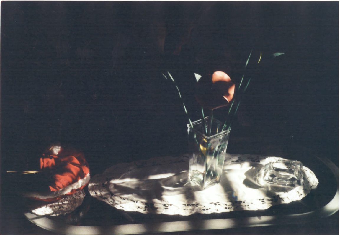 Bicchiere di vetro e fiori in controluce
